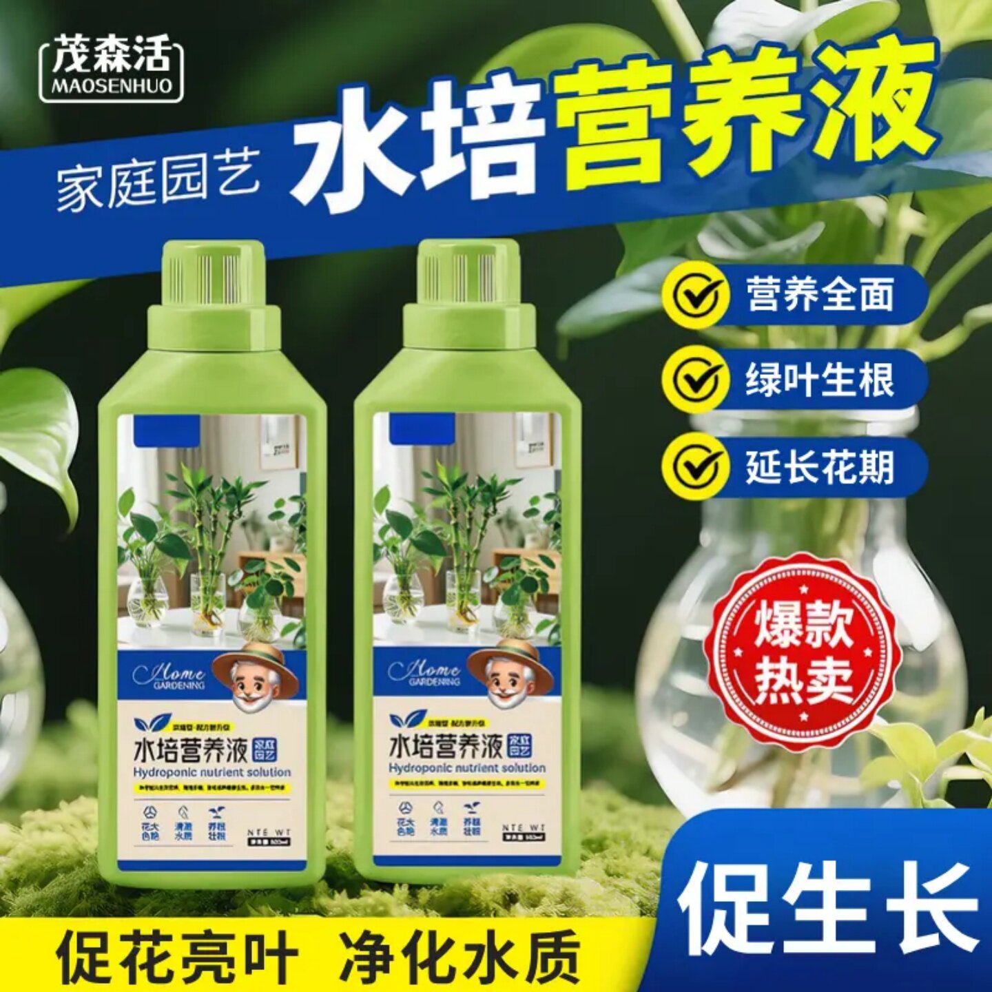水培植物营养液氨基酸生根液富贵竹铜钱草碗莲净水生根通用茂森活