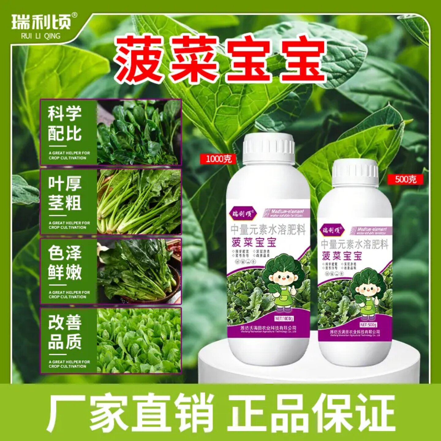 瑞利顷菠菜宝宝中量元素水溶肥料叶厚茎粗色泽鲜嫩改善品质壮根