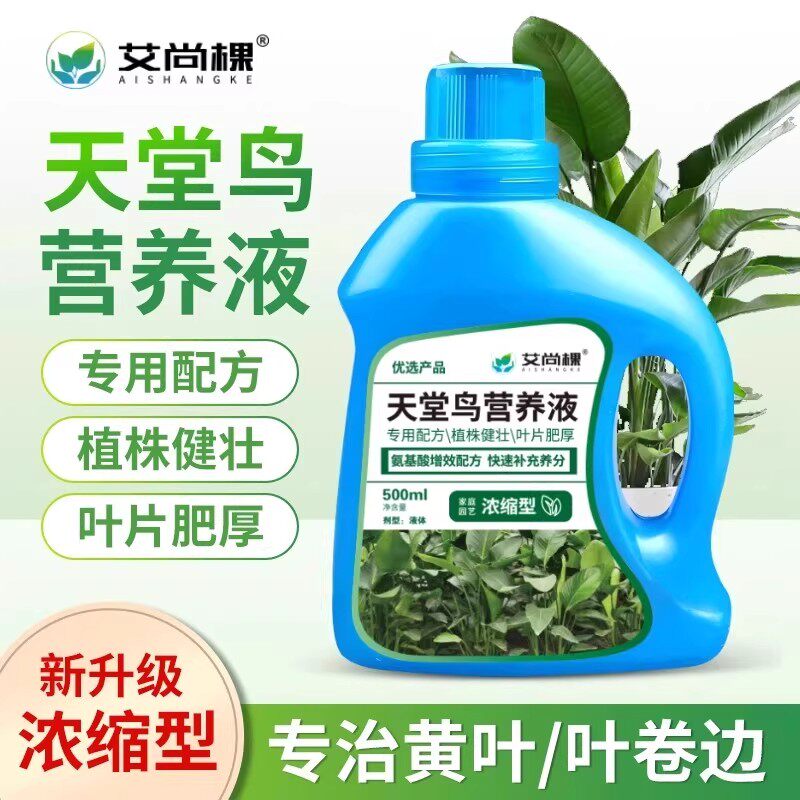 艾尚棵天堂鸟营养液叶子发黄卷边开裂专用营养原液室内盆栽肥料