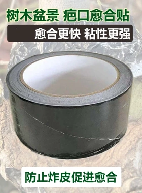 树木盆景疤口愈合贴盆景果树专用嫁接伤口生桩黑色锡箔纸贴胶带