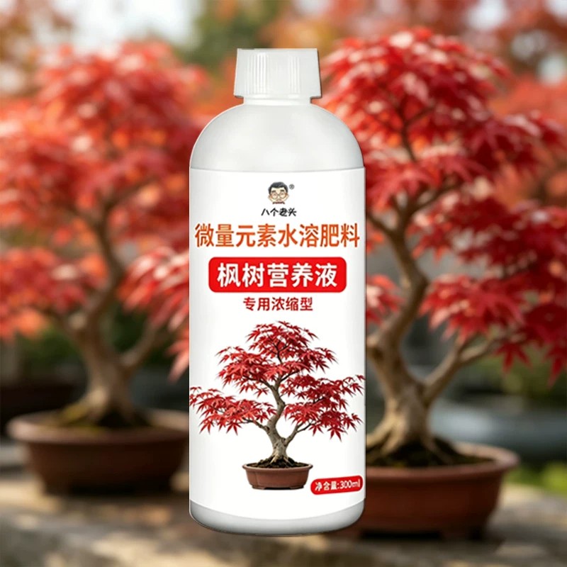 八个老头微量元素水溶肥料枫树营养液专用浓缩型防黄叶促红叶株壮