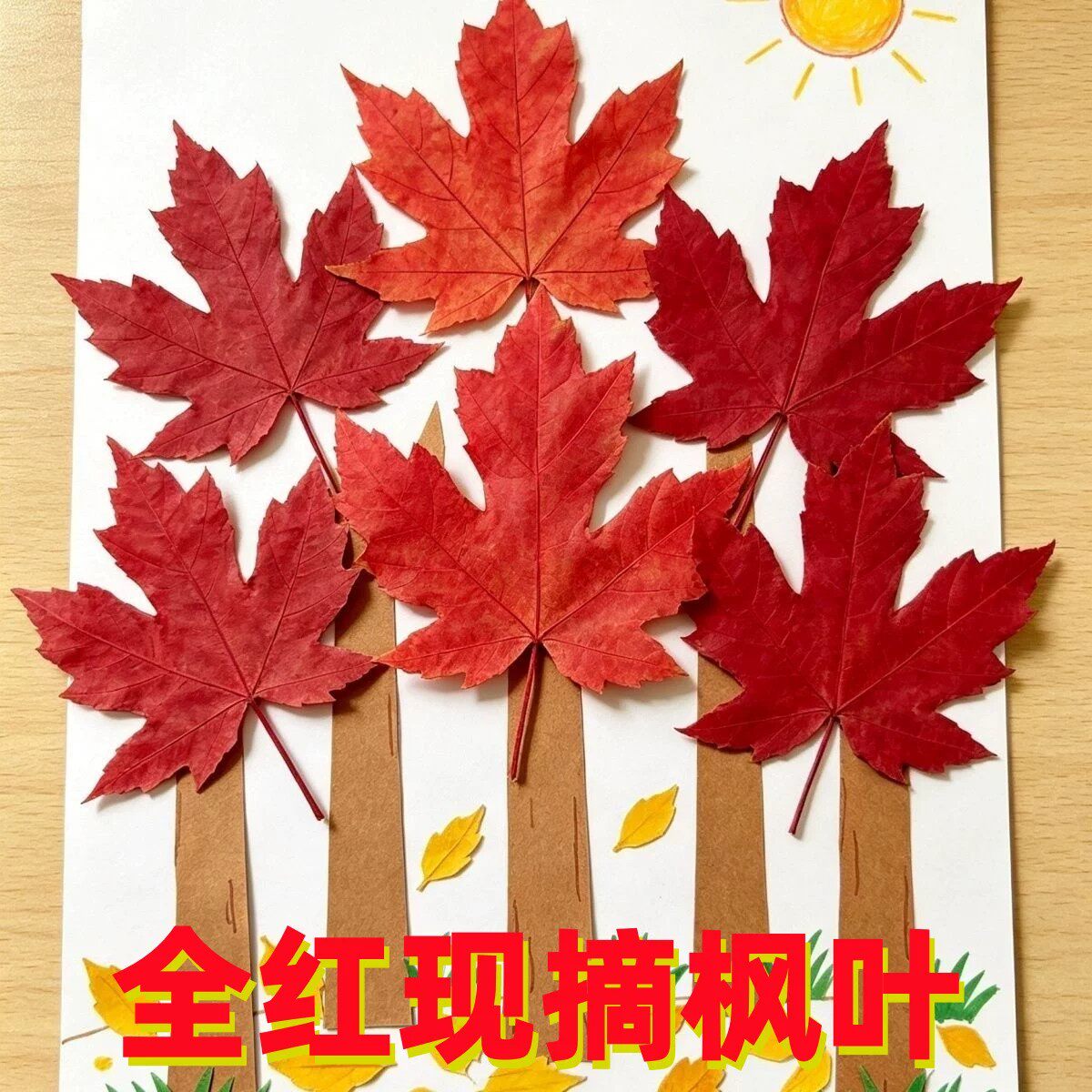 新鲜真红枫叶秋季橱窗婚庆装饰
