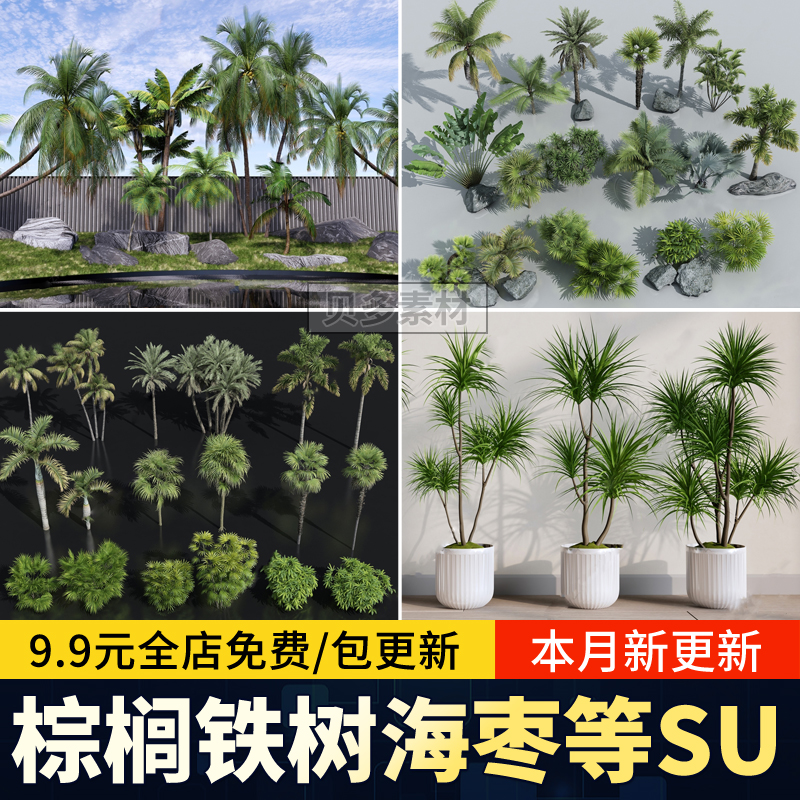 棕榈铁树海枣热带植物大王椰子散尾葵蒲葵龙血 树 草图大师SU模型