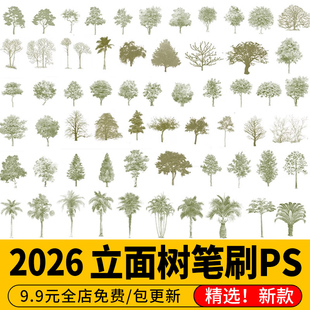 小清新竞赛风立面树乔木灌木景观效果图分析图草坪树木植物PS笔刷