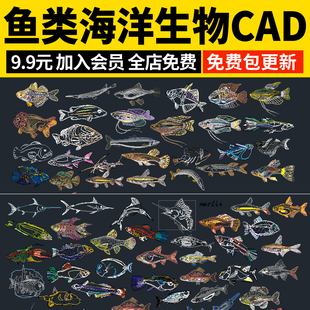 鱼类动物海洋生物龙虾鲨鱼鲸鱼乌龟螃蟹海螺元素图库素材CAD图块