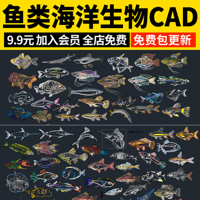 鱼类动物海洋生物龙虾鲨鱼鲸鱼乌龟螃蟹海螺元素图库素材CAD图块