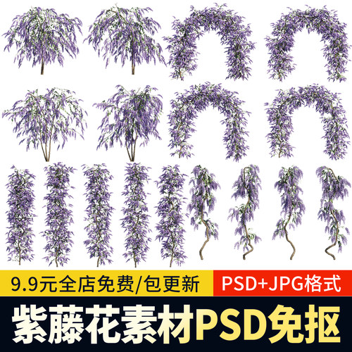 紫藤花ps素材高清爬藤攀援植物效果图后期配景紫藤花风psd免扣图