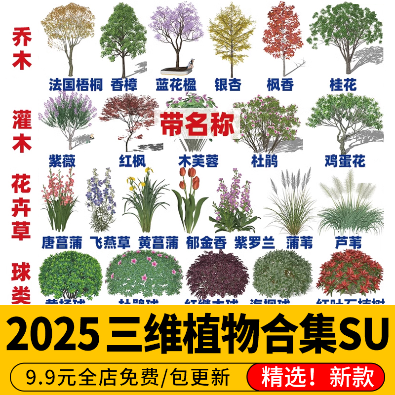 2025园林景观植物3d树木乔木灌木地被花卉草花SU模型素材库合集