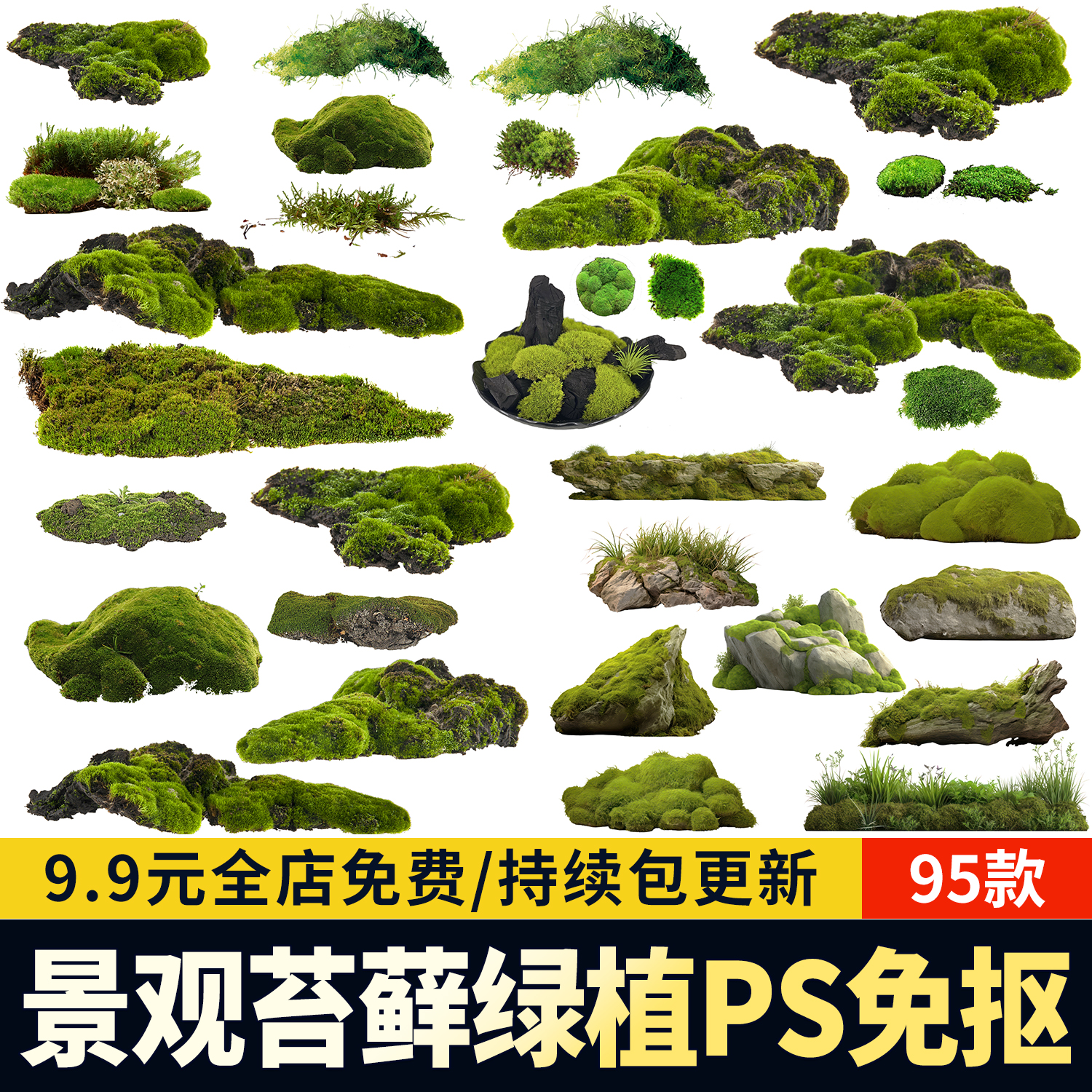 蕨类苔藓中式景观耐阴植物矾根花镜禅意地被效果图ps素材psd免扣