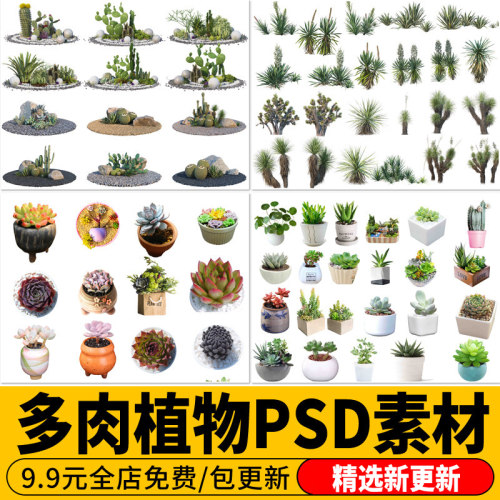 多肉植物热带沙漠绿植盆栽效果图psd免扣沙生芦荟仙人掌PS素材