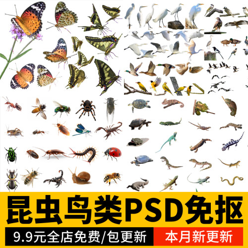 昆虫蝴蝶爬行类动物鸟类蜜蜂蜈蚣蟋蟀蚂蚁蜻蜓PSD免扣素材PS分层