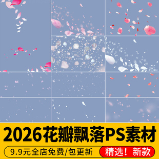 花瓣飘落 樱花桃花玫瑰洒落效果摄影影楼PS背景照片合成PSD素材