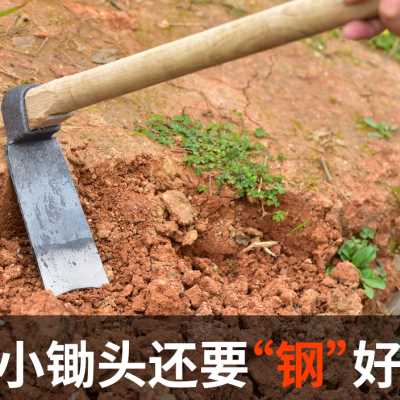 全钢农用挖笋松土锄头家用除草种菜工具小锄头便携挖地小挖锄农具