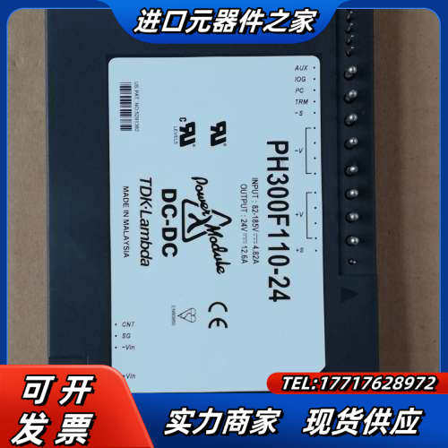 PH300F110-24直流电源模块议价