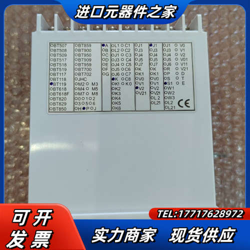 智能温控仪BT119PA-KV2J1S1议价