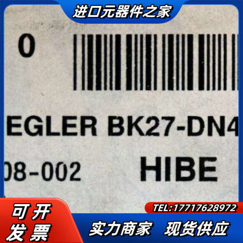 GESTRA Thermovit控制器BK27 DN40/5议价