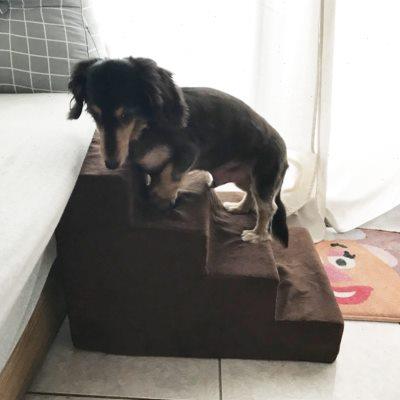 宠物楼梯猫狗楼梯泰迪小型犬海绵梯子台阶上床爬梯垫子宠物狗用品