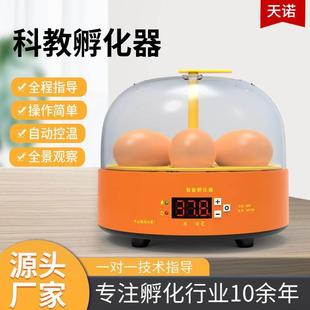 迷你科教小鸡孵蛋器智能小鸡孵化器儿童学生科教智能孵化器