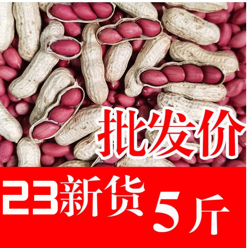 2023年新红皮花生米生新货生花生带壳晒干新鲜红衣炒货花生新鲜 零食/坚果/特产 花生 原图主图