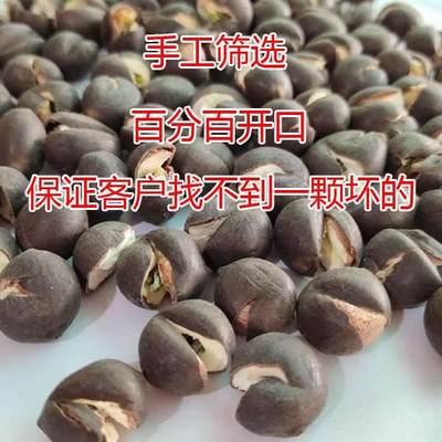 炒莲子开口湖南特产莲子干货带壳有芯湘莲熟即食湘500g零食包邮