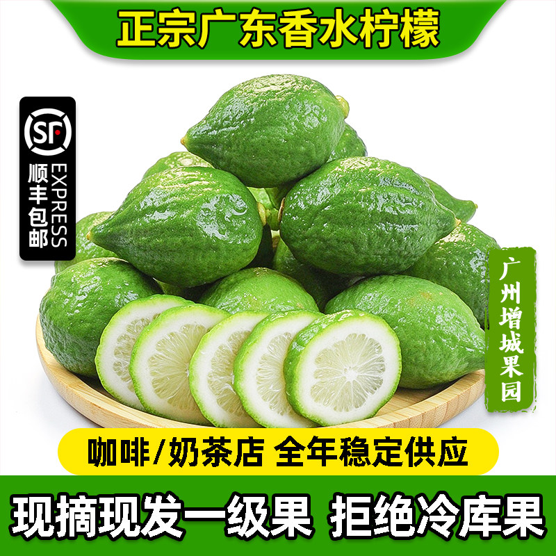 广东香水柠檬新鲜现摘一级果无籽