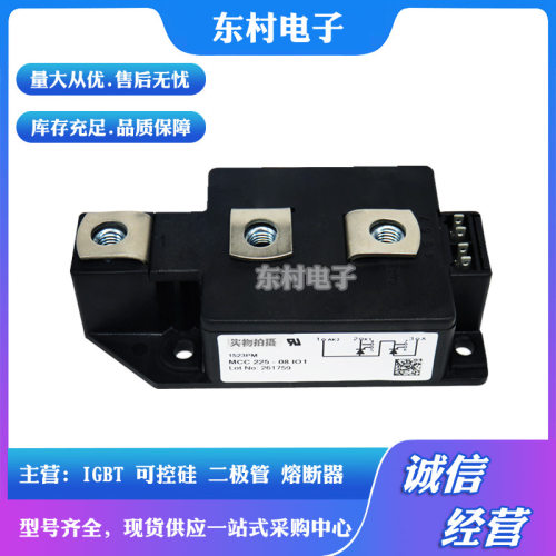 MCC225-12iO1 MCC225-14iO1 MCC225-16iO1 MCC225-18iO1可控硅