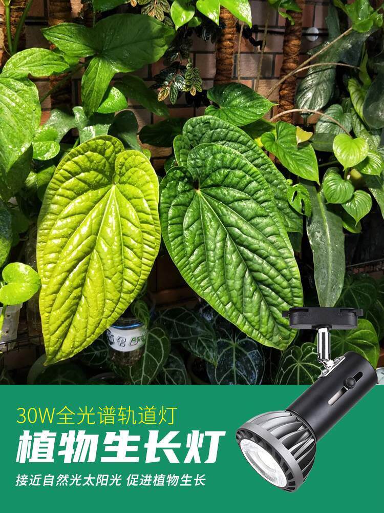 【图推】光联天下3W0工克KRE程款植物补光灯轨道射灯荐全光谱自然属于什么档次？