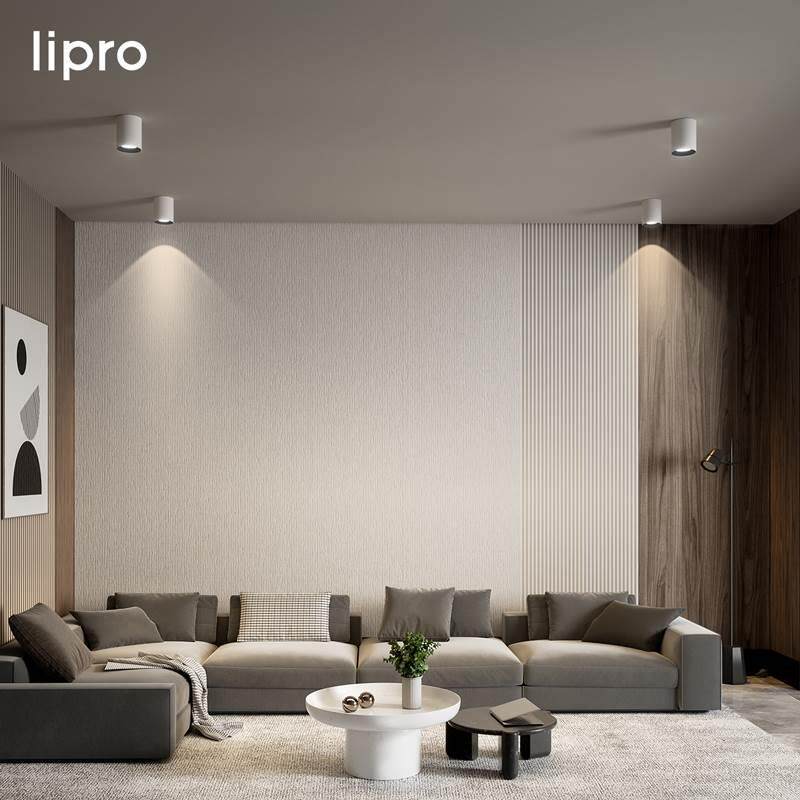 lipro 明装筒_1660102灯射洗le灯d天灯无主灯孔灯玄花关灯过道灯高性价比高么？