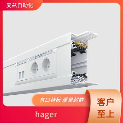 12448982 电磁式漏电断路器 自动转换开关 12368982 hager 海格
