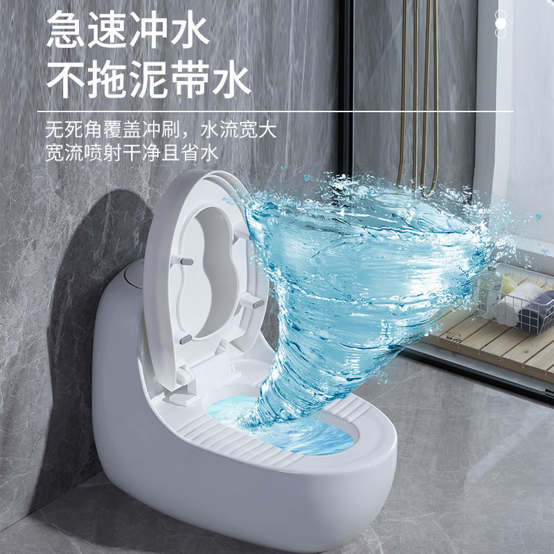 2026蹲坐两用马桶可蹲可坐改换蹲坑免挖蹲厕防臭静音双用二合一坐