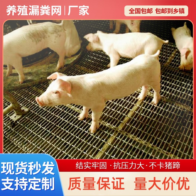 漏粪网猪床网猪用漏粪板保育肥产床网钢筋网狗笼铺底网养猪铁丝网