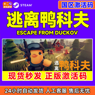 from Duckov 国区激活码 steam游戏 PC正版 Escape CDK 逃离鸭科夫