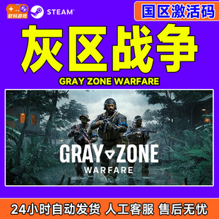 Zone Gray Warfare 国区激活码 PC游戏 steam游戏 CDKey 灰区战争