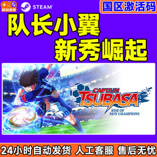 steam 队长小翼新秀崛起 激活码cdkey Captain Tsubasa