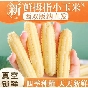 云南版纳拇指玉米香糯小玉米傣家甜黏手指玉米宝宝小玉米软糯香甜
