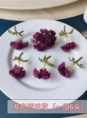 酒店菜品盘饰餐饮刺身西餐摆盘装饰杨兰花草洋兰花寿司点缀西兰花