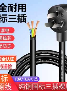 三3芯电源线 插头带线国标电线大功率10a/16a单头1.5/2.5平方纯铜
