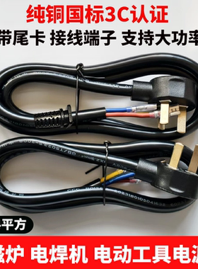 电磁炉电源线电动工具线带尾卡