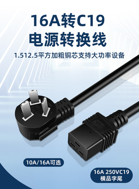 国标10A/16A转C19电源线Pud Server三插孔延长线大功率1.5/4平方