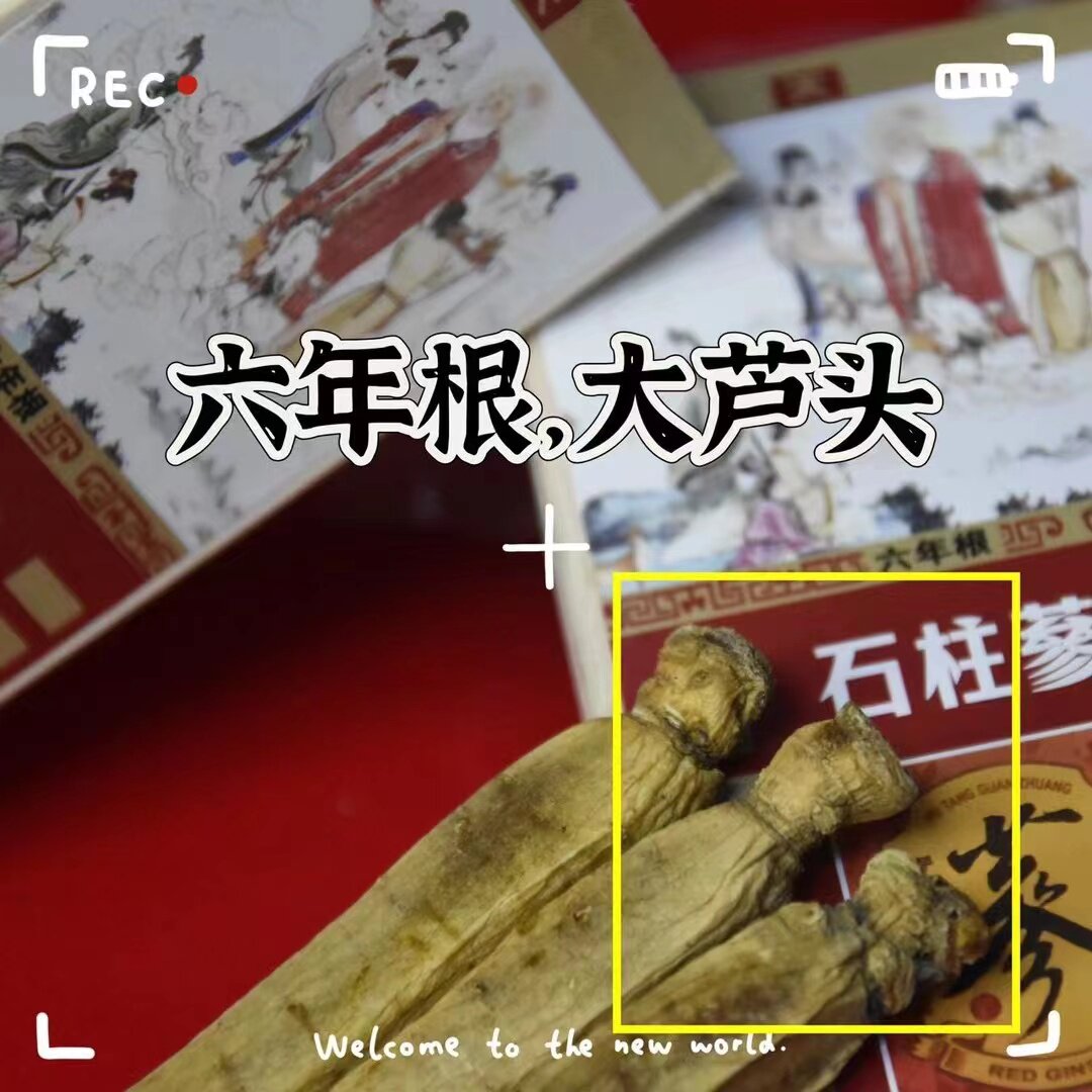 红参高丽参整枝石柱参六年根大芦头菊花芯