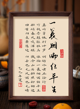 一蓑烟雨任平生书法相框字画摆台客厅书房茶室摆件豁达人生境界