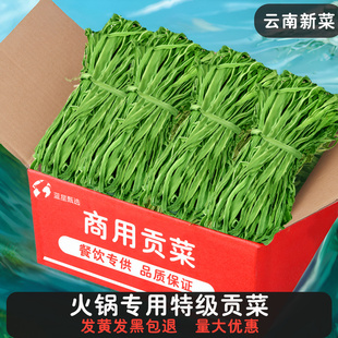 特级贡菜商用整箱10斤干贡菜干货特级火锅店专用苔干精品食材包邮