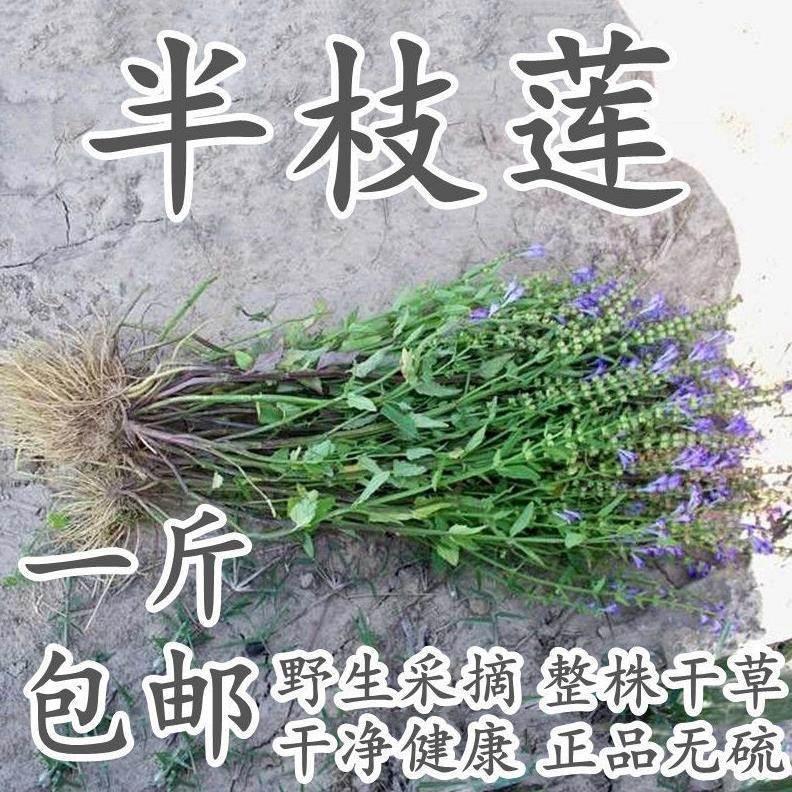 整株半枝莲中药材野生新鲜干草半枝莲通经草四方草并头草500g包邮