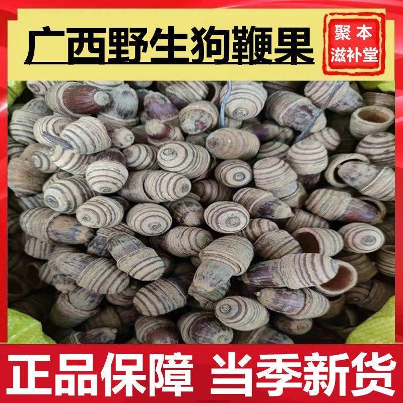 狗鞭果广西正宗野生狗鞭果风流果猪仔粒毛毛果阴阳果双肾子