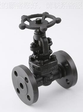 J 41H-16C/5C/4CA105锻钢锻打2法兰截止445阀DN15 20 25 32 040 5