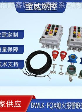 宝威合燃BWLK-FQX控控转智能化 成氨化阀炉熄火报警切装置