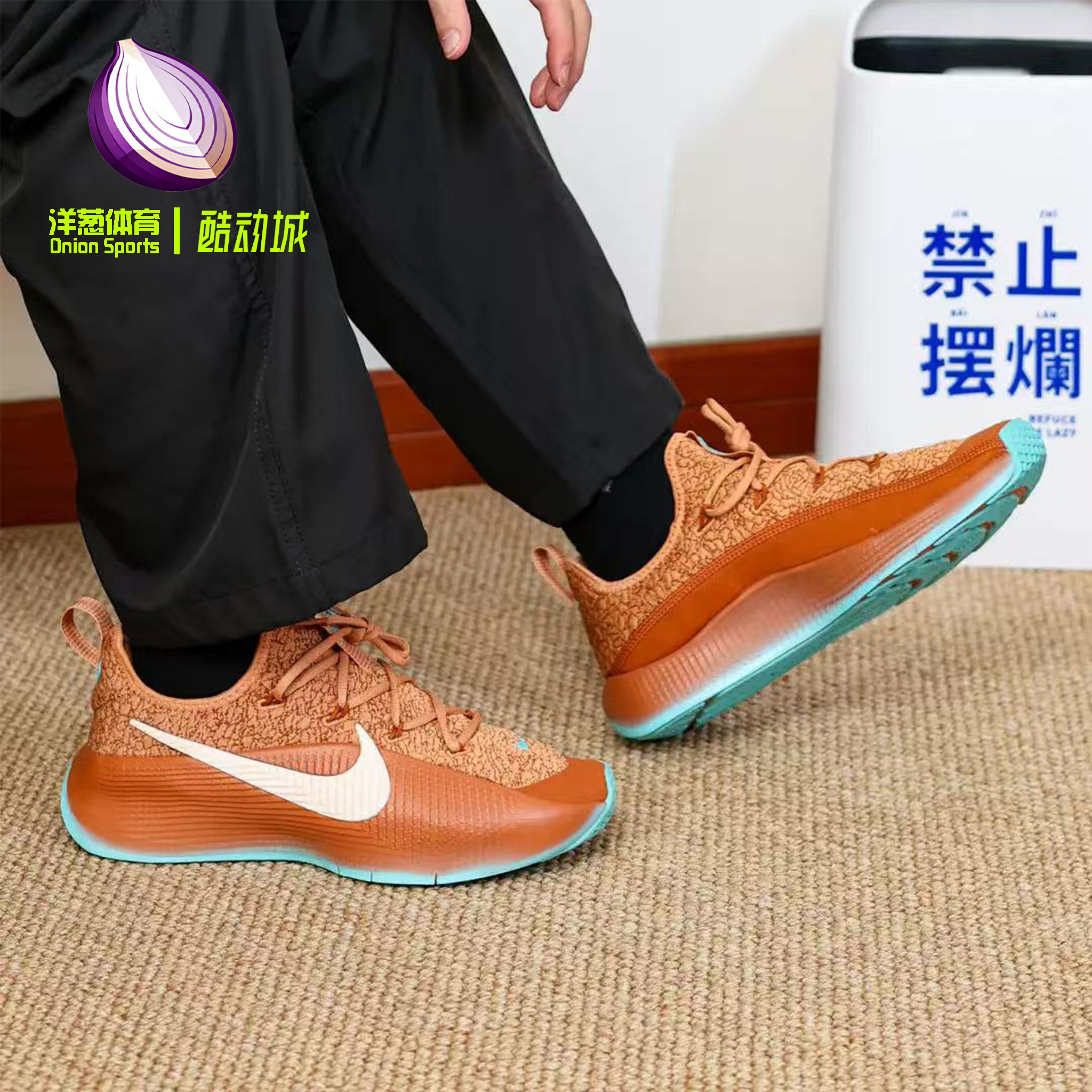 NikeLeBronTR1棕绿色篮球鞋男
