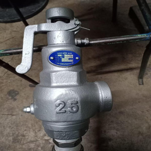 10储气罐A28W S3S 10T空压机安全阀A27H A27W 16T冷媒 317台湾318