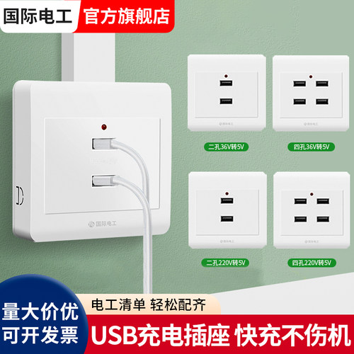 国际电工明装工装USB插座面板