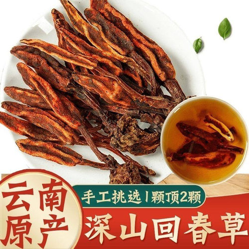 回春草 一件云南不老草顶天柱草 大货供应500g回春草